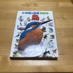 小学館の図鑑NEO 鳥のサムネイル