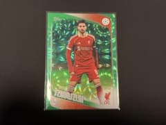 ドミニク・ソボスライ Topps 99シリ /99のサムネイル