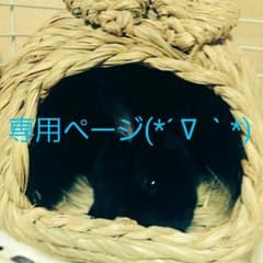 ゆさ様専用ページのサムネイル