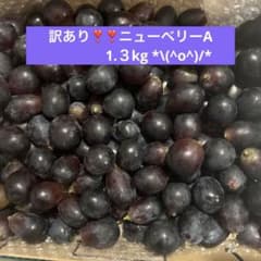 訳あり❣️ニューベリーA 1.３kg (*≧∀≦*)のサムネイル