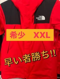 コイチ様専用ノースフェイスマウンテンパーカー　GORE-TEX XXLのサムネイル