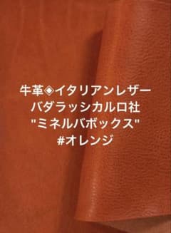 fahaka様 リクエスト 2点 まとめ商品のサムネイル