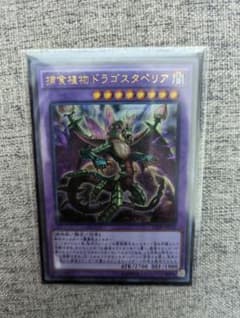 遊戯王 捕食植物ドラゴスタペリア　ウルトラレアのサムネイル