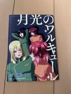 機動戦士ガンダムSEED FREEDOM 特典 小説 月光のワルキューレのサムネイル