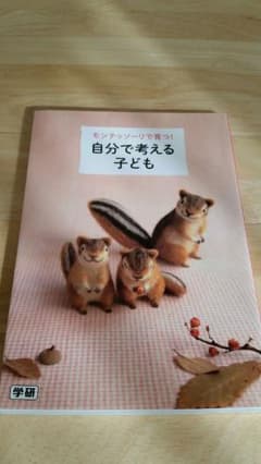 モンテッソーリで育つ！自分で考える子どもdvd付のサムネイル