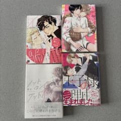 BLコミック 4冊まとめ売り 【16】 - メルカリ