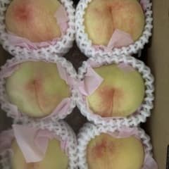 岡山県産一宮ブランド白鳳家庭用1.4キロ - メルカリ
