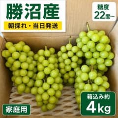 山梨県勝沼産 シャインマスカット 箱込み約4kg 家庭用 糖度22度〜 農家直送のサムネイル