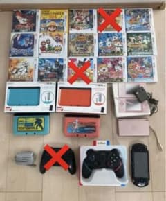 DS 白犬 専用のサムネイル