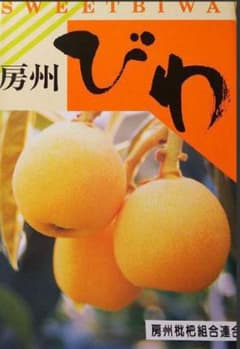 南房総産 房州びわ ２Lサイズ☆12粒‼️化粧箱入(^^)のサムネイル