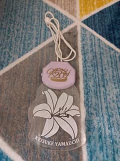 山内惠介20周年ペンライト - メルカリ