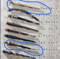 해리 포터 마그넷 컬렉션 미니 지팡이 볼데모트 맥고나갈