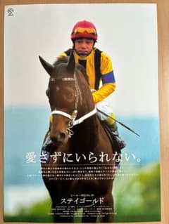 JRAヒーロー列伝　No.49 ステイゴールド JRAヒーロー列伝 No.49 ステイゴールド - メルカリ