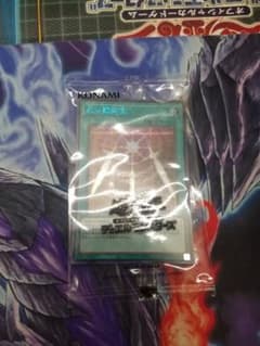 遊戯王　YUDT　光の護封剣　ブルシクのサムネイル