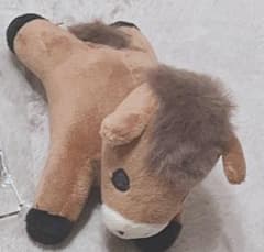 うまぬい　ニート部　ウマヅラハギのサムネイル