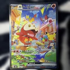 ポケモンカード ホゲータex SAR