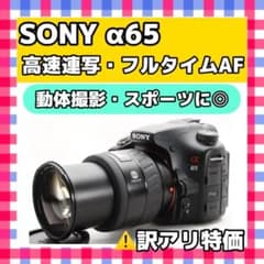 訳アリ【特価】10コマ連写❤️SONY α65❤️ 動体撮影に最強 訳アリ【特価】10コマ連写❤️SONY α65❤️ 動体撮影に最強 - メルカリ