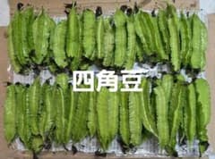 四角豆のサムネイル
