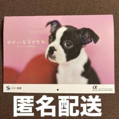 カレンダー　（壁掛け）　犬　2024のサムネイル