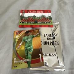 浦和レッズ西川周作 FANTASY CARD Jリーグ カード - メルカリ