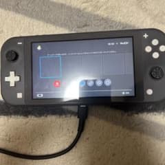 Nintendo Switch Lite 本体 グレーのサムネイル