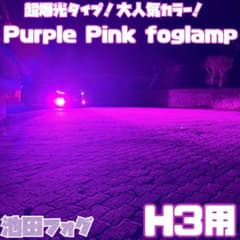 超爆光！H3用 24V対応 パープルピンクフォグランプ！当店限定色！トラックにも 超爆光！H3用 24V対応 パープルピンクフォグランプ！当店限定色