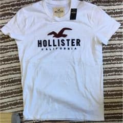 ホリスター tシャツのサムネイル