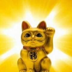 うちひろさん専用のサムネイル