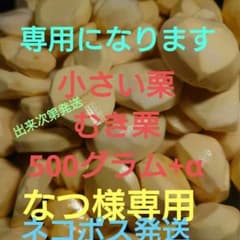 なつ様専用小さい栗 500グラム +αのサムネイル