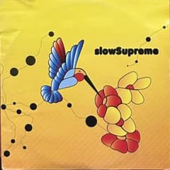 【12”】Slow Supreme “African Time”のサムネイル