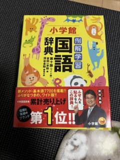 【美品】例解学習国語辞典 第十版 ワイド版 小学館 深谷圭助のサムネイル