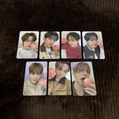 DKB 1/31 Linc ヨントン トレカ 全員セット(未公開トレカ) - メルカリ