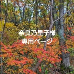きのこのサムネイル