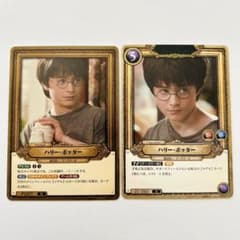 ハリーポッター Pt007 01-060 N 賢者の石 カードゲーム 匿名配送