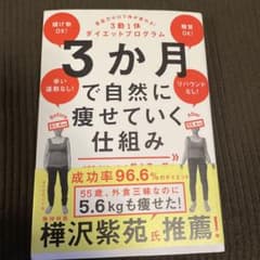 3か月で自然に痩せていく仕組みのサムネイル