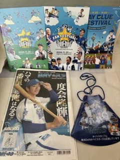 横浜DeNAベイスターズ ファンフェスティバル パンフレット　BAYスタ新聞のサムネイル
