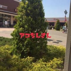 ぽっちゃりさん必見！  大きな花柄チュニックのサムネイル