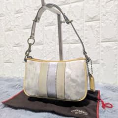 COACH ワンショルダーバッグ アクセサリーポーチ 保存袋付き y2k