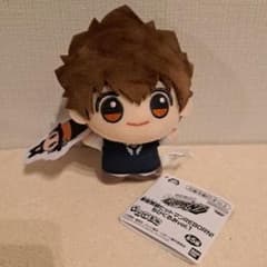 家庭教師ヒットマンREBORN! ちびぐるみ vol.1沢田綱吉 - メルカリ