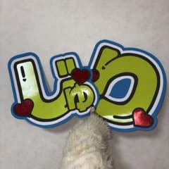 SixTONES 田中樹 じゅり うちわ文字 メンカラ 蛍光 派手 目立つ - メルカリ