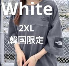 【韓国限定】入手困難！ノースフェイス ロゴ ステッチ Tシャツ 白　2XLのサムネイル