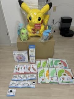 이치 반 복권 Pokémon 30th ANNIVERSARY 34 점 세트