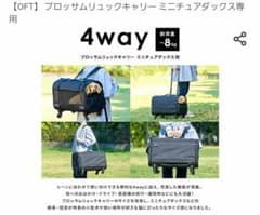 12/14まで値下げ【OFT】 ブロッサムリュックキャリー ミニチュアダックス用のサムネイル