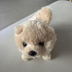 ポメラニアン ぬいぐるみ ベージュのサムネイル