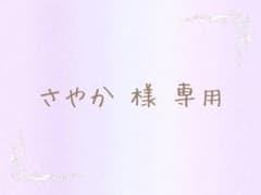 【さやか様専用】すとぷり 缶バッジ クリアファイルのサムネイル