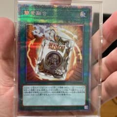 【美品】レトルトフュージョン（簡素融合）プリシクのサムネイル