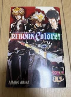 家庭教師ヒットマンREBORN!公式ビジュアルブック REBORN Color…