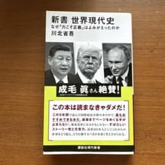 新書 世界現代史 なぜ「力こそ正義」はよみがえったのかのサムネイル