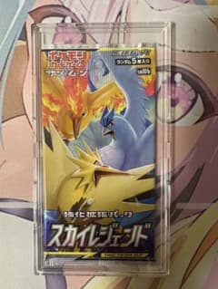 【ポケモンカード】スカイレジェンド　未開封　1パック　ケース付き