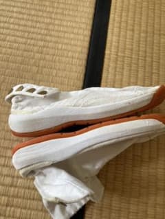 ♪値下げしました♪23.5センチエアジョクたひのサムネイル